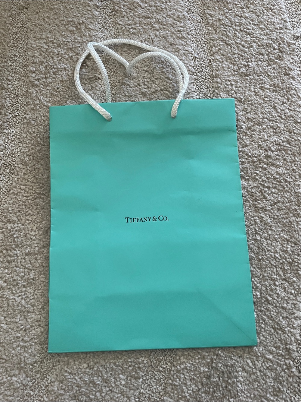 Tiffany & Co. Rope-Handled Gift Bag in Tiffany Blue